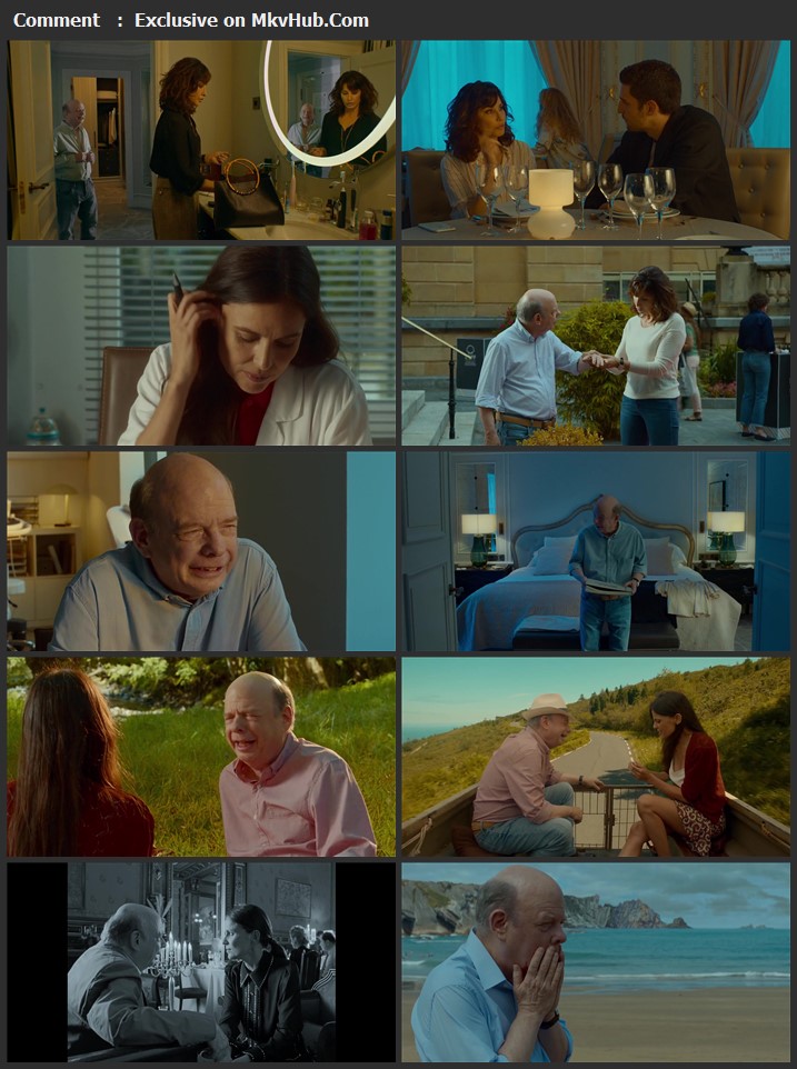 Rifkin's Festival 2020 English 720p WEB-DL 800MB Download