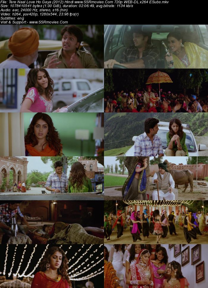 Tere Naal Love Ho Gaya (2012) Hindi 480p WEB-DL x264 350MB ESubs Full Movie Download