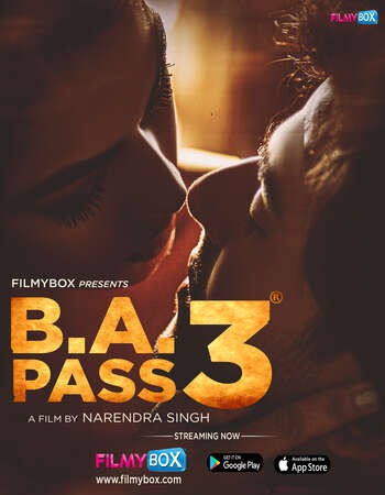 B.A. Pass 3 (2021) Hindi 720p WEB-DL x264 900MB Full Movie Download