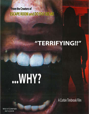 Why 2021 English 720p WEB-DL 800MB ESubs