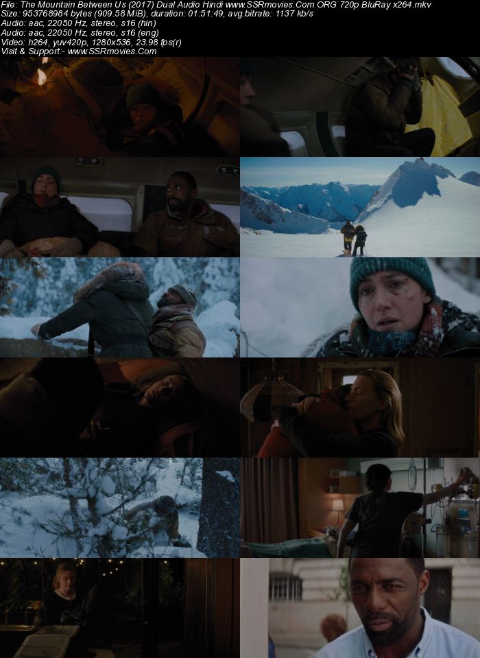 The Mountain Between Us (2017) Dual Audio Hindi 720p BluRay x264 900MB Full Movie Download