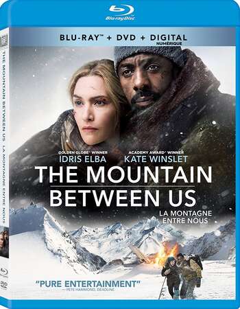 The Mountain Between Us (2017) Dual Audio Hindi 720p BluRay x264 900MB Full Movie Download