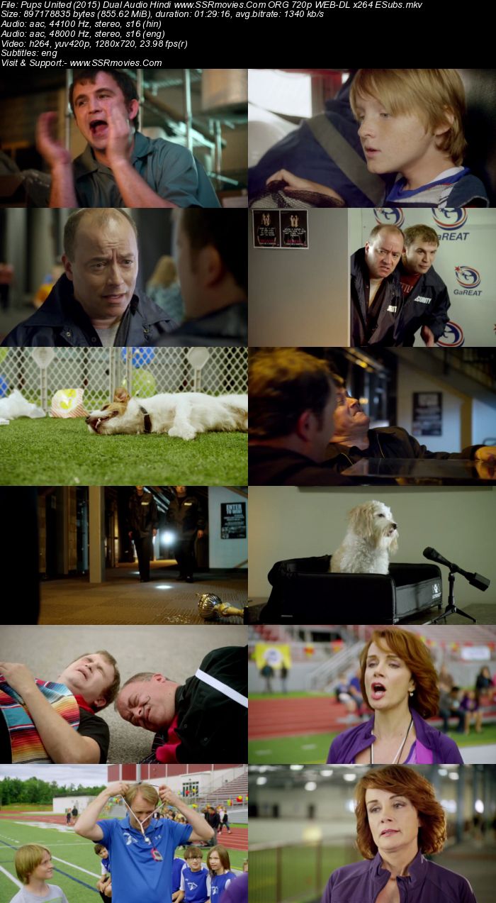 Pups United (2015) Dual Audio Hindi 720p WEB-DL x264 850MB Full Movie Download