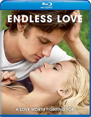 Endless Love (2014) Dual Audio Hindi ORG 480p BluRay 350MB ESubs Full Movie Download