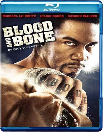 Blood and Bone (2009) Dual Audio Hindi ORG 480p BluRay x264 300MB Full Movie Download