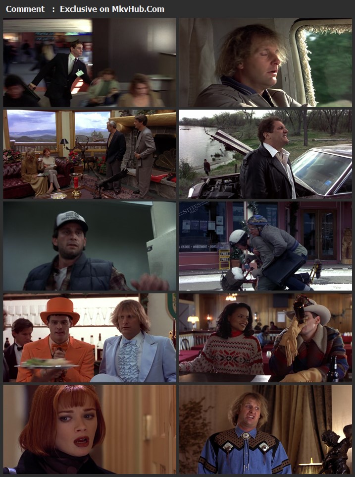 Dumb and Dumber 1994 English 720p BluRay 1GB Download