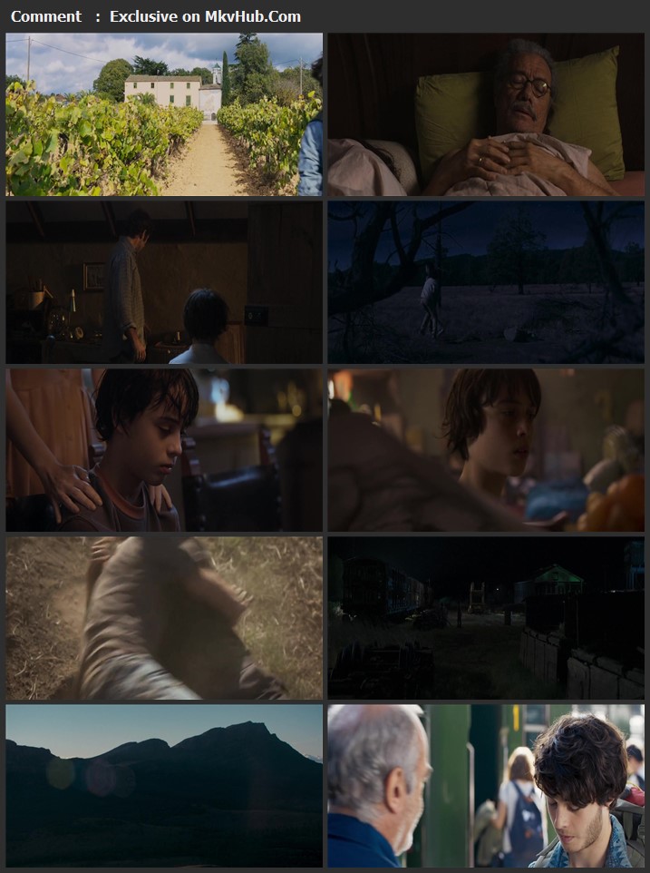 Chasing Wonders 2021 English 720p WEB-DL 750MB Download