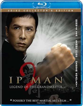 IP Man 2 (2010) Dual Audio Hindi ORG 480p BluRay x264 350MB ESubs Full Movie Download