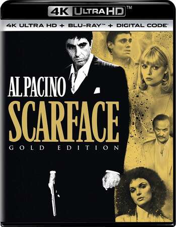 Scarface (1983) Dual Audio Hindi ORG 480p BluRay x264 550MB Full Movie Download Scarface (1983) Dual Audio Hindi ORG 480p BluRay x264 550MB Full Movie Download