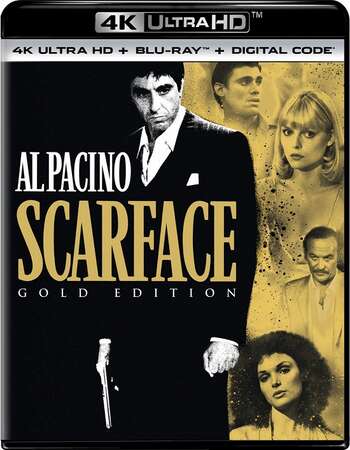 Scarface (1983) Dual Audio Hindi 720p BluRay x264 1.3GB Full Movie Download