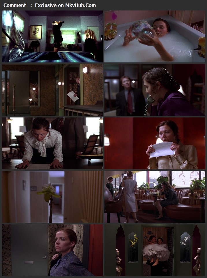 Secretary 2002 English 720p BluRay 1GB Download