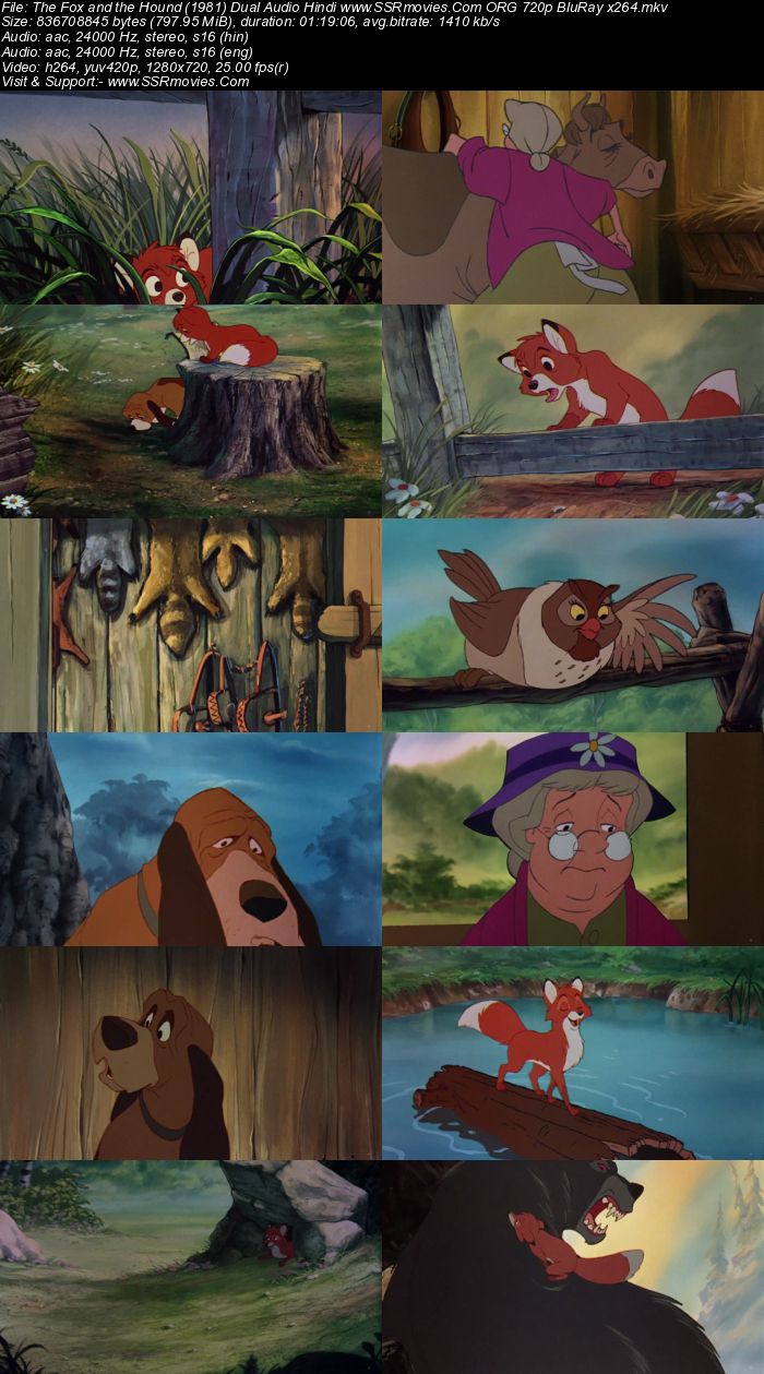 The Fox and the Hound (1981) Dual Audio Hindi 720p BluRay x264 800MB Full Movie Download