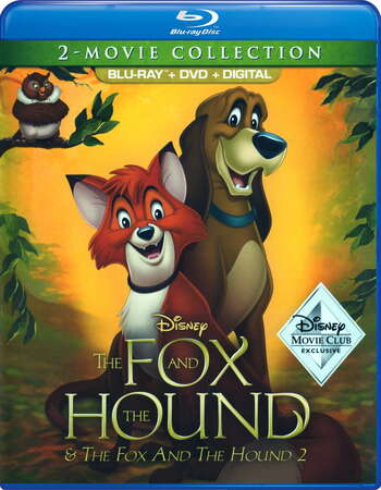 The Fox and the Hound (1981) Dual Audio Hindi 720p BluRay x264 800MB Full Movie Download