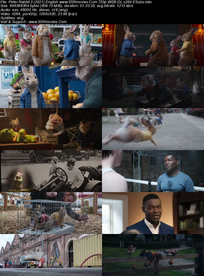 Peter Rabbit 2: The Runaway (2021) English 480p WEB-DL 300MB ESubs Full Movie Download