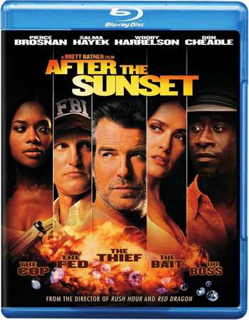After the Sunset (2004) Dual Audio Hindi ORG 480p BluRay x264 350MB Full Movie Download