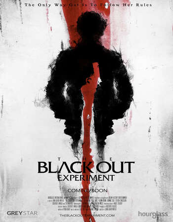 The Blackout Experiment 2021 English 720p WEB-DL 700MB ESubs