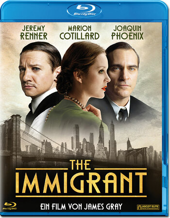 The Immigrant (2013) Dual Audio Hindi ORG 480p BluRay 350MB ESubs Full Movie Download