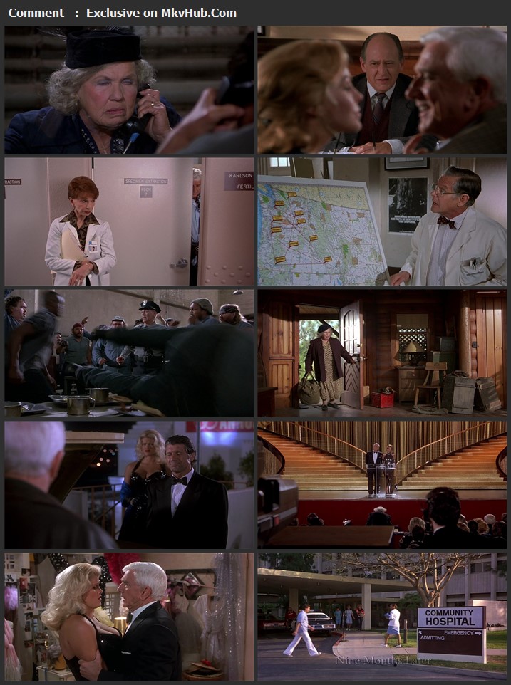 Naked Gun 33 1/3: The Final Insult 1994 English 720p BluRay 1GB Download
