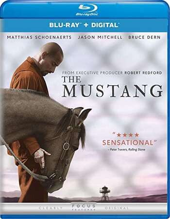 The Mustang (2019) Dual Audio Hindi 720p BluRay x264 900MB Full Movie Download