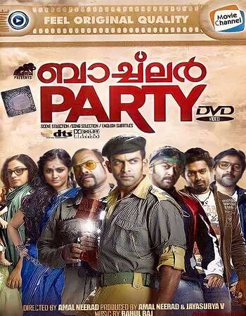 Bachelor Party (2012) UNCUT Dual Audio Hindi ORG 480p HDRip 400MB Full Movie Download