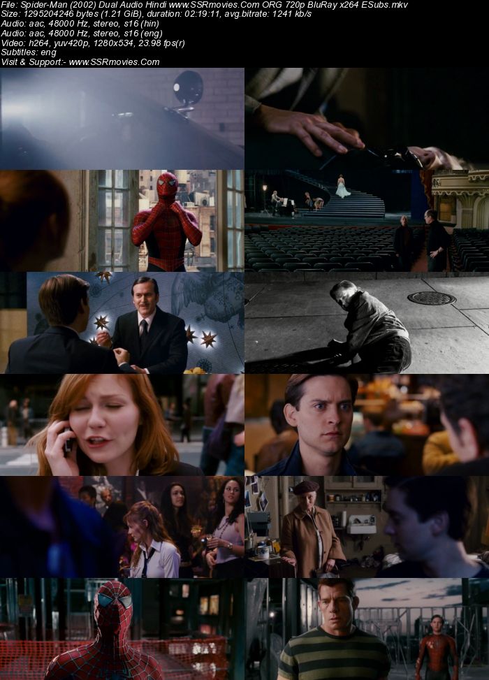 Spider-Man (2002) Dual Audio Hindi 720p BluRay x264 1.2GB Full Movie Download