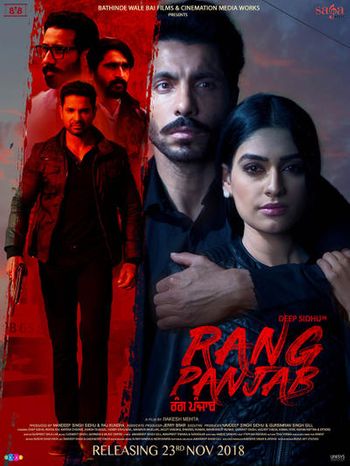 Rang Panjab (2018) Punjabi 480p WEB-DL x264 350MB ESubs Download