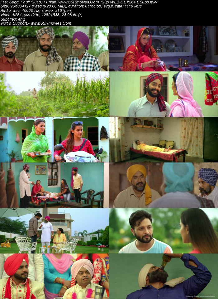 Saggi Phull (2018) Punjabi 720p WEB-DL x264 900MB ESubs Full Movie Download