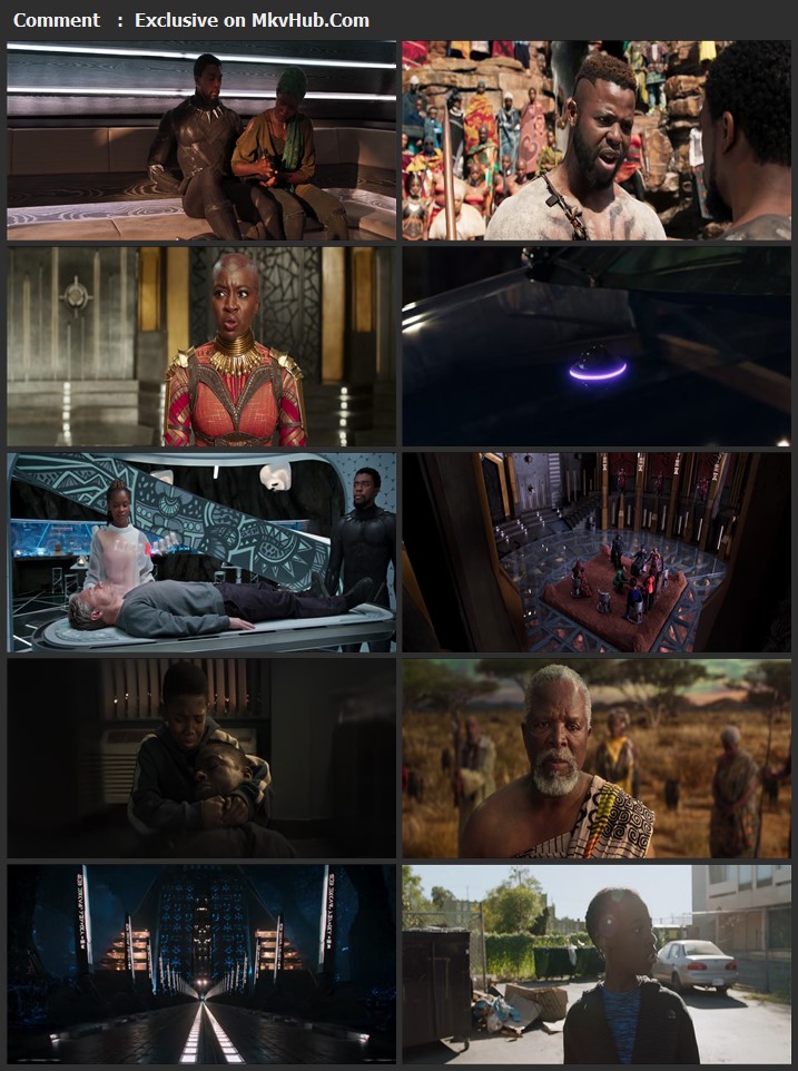 Black Panther 2018 English 720p BluRay 1GB Download