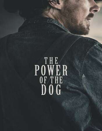 The Power of the Dog 2021 English 720p WEBSCREENER 1.1GB Download