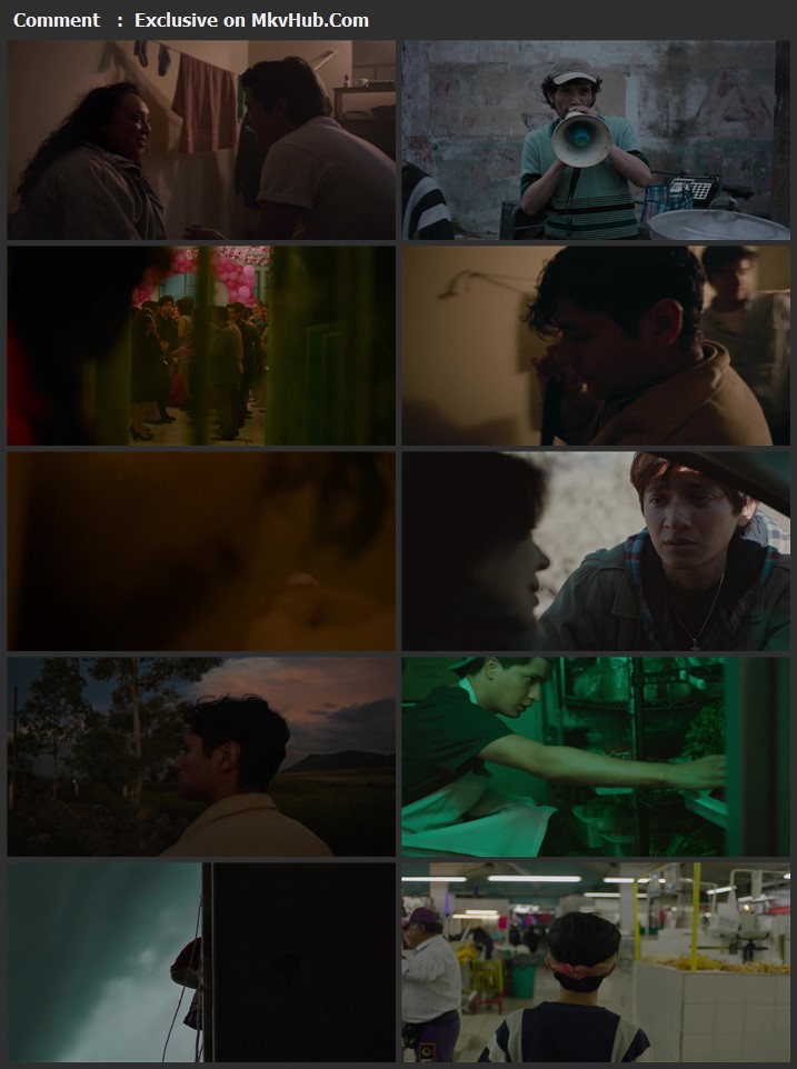 I Carry You with Me 2021 Spanish 720p WEB-DL 1GB Download