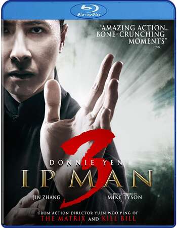 IP Man 3 (2015) Dual Audio Hindi ORG 1080p BluRay x264 1.9GB ESubs Full Movie Download