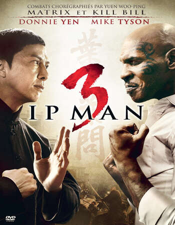 Ip Man 3 2015 Dual Audio [Hindi-Chinese] 1080p BluRay 1.9GB ESubs