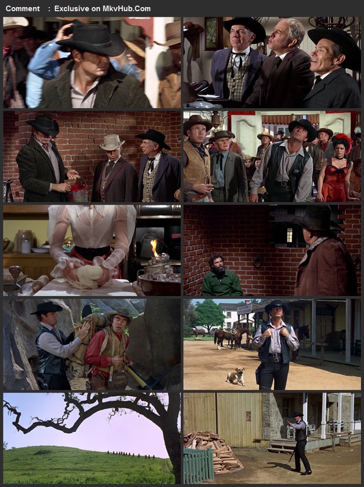 Support Your Local Sheriff! 1969 English 720p BluRay 1GB Download