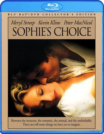 Sophie's Choice (1982) Dual Audio Hindi ORG 480p BluRay 500MB ESubs Full Movie Download