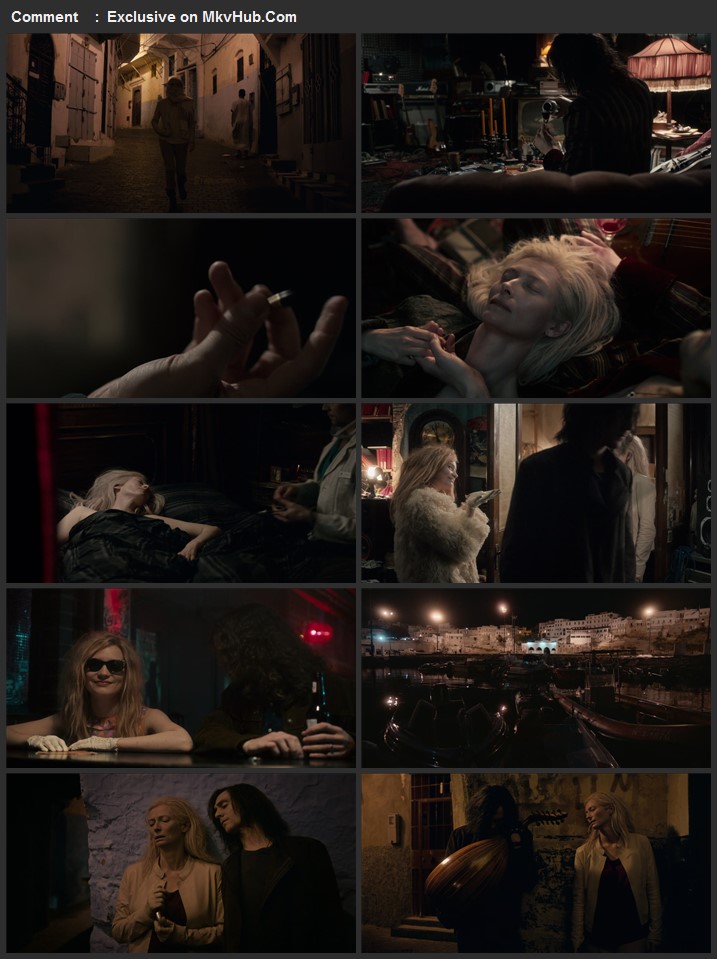 Only Lovers Left Alive 2013 English 720p BluRay 1GB Download