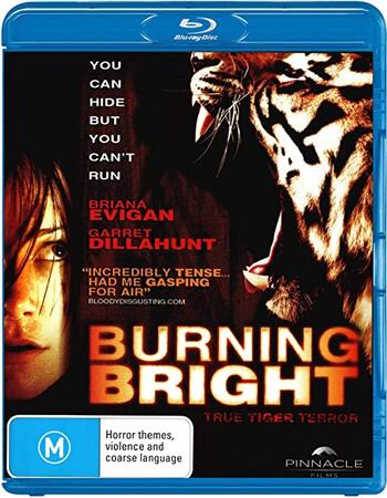 Burning Bright (2010) Dual Audio Hindi ORG 480p BluRay x264 300MB Full Movie Download