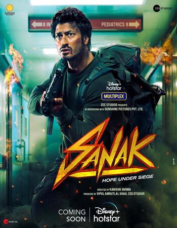 Sanak (2021) Hindi 1080p WEB-DL x264 2GB ESubs Full Movie Download