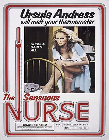 The Sensuous Nurse (1975) Dual Audio Hindi 720p WEB-DL 1.1GB ESubs Full Movie Download