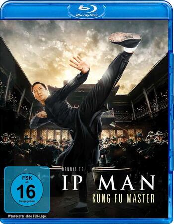 Ip Man: Kung Fu Master (2019) Dual Audio Hindi 720p BluRay x264 800MB Full Movie Download