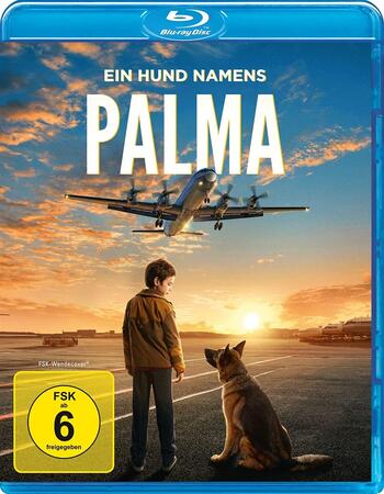 Palma (2021) Hindi [UnOfficial] 720p 480p BluRay x264 900MB Full Movie Download