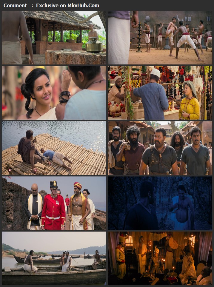 Kayamkulam Kochunni 2018 Dual Audio [Hindi-Malayalam] 1080p WEB-DL 2.7GB Download