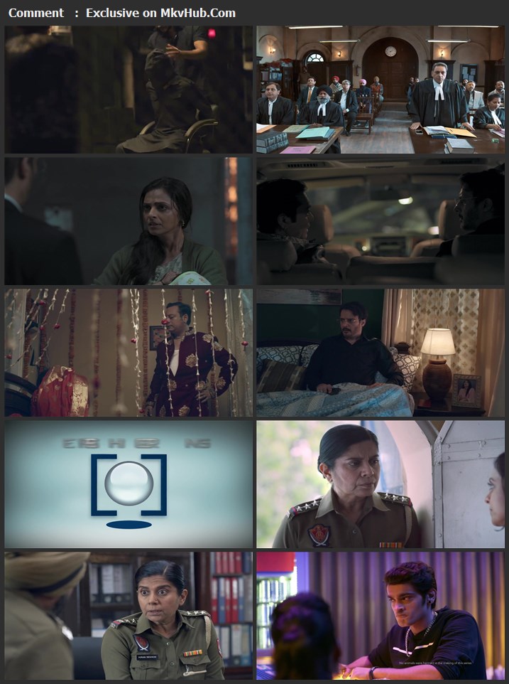 Your Honor S02 COMPLETE 720p WEB-DL x264 1.1GB Download