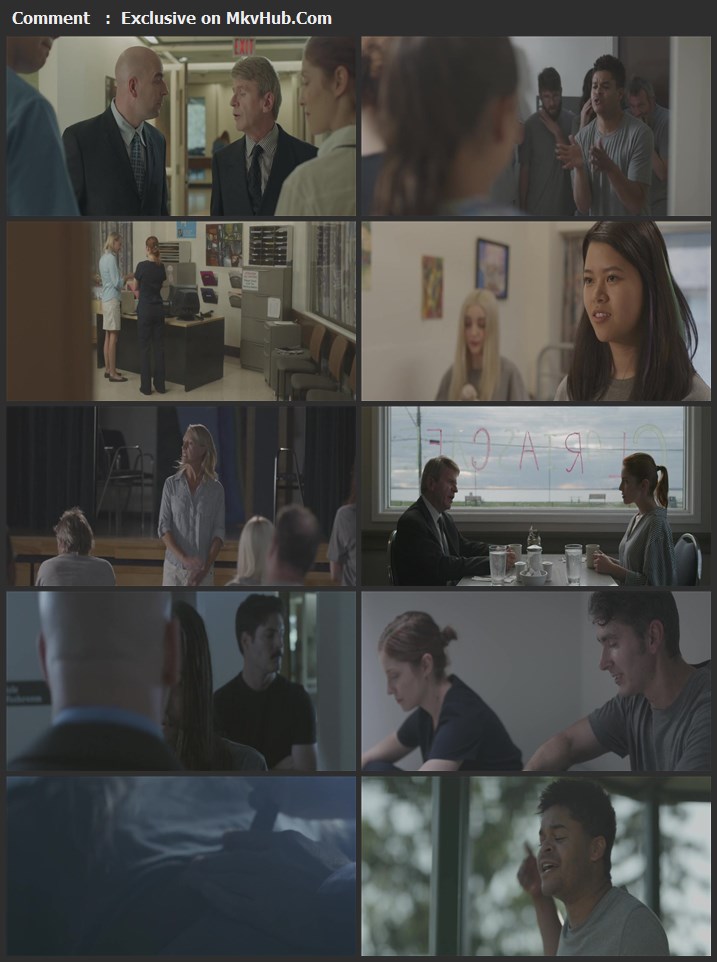 John, 316 2021 English 720p WEB-DL 950MB Download