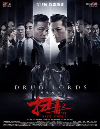 The White Storm 2 Drug Lords (2019) Hindi Dub ORG 480p WEB-DL 300MB Full Movie Download