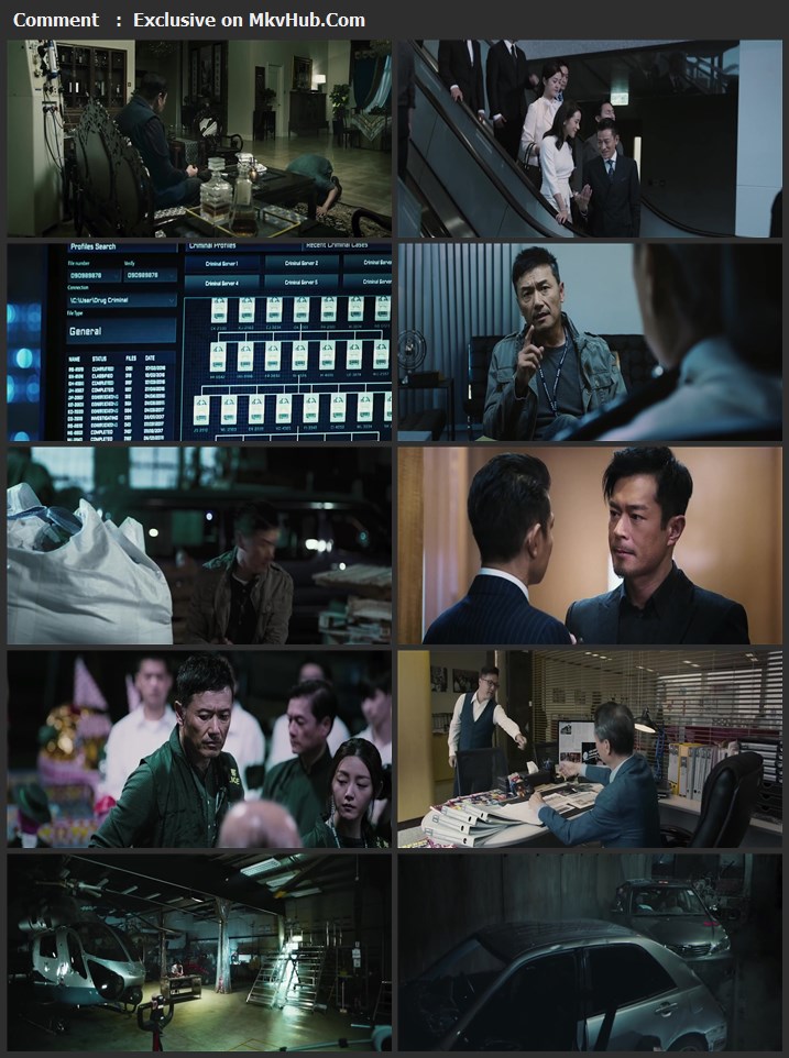 The White Storm 2 Drug Lords 2019 Hindi 1080p WEB-DL 1.9GB Download