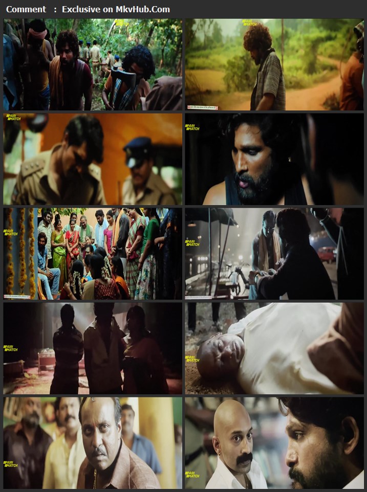 Pushpa: The Rise - Part 1 2021 Hindi 1080p HQ Pre-DVDRip 3.5GB Download