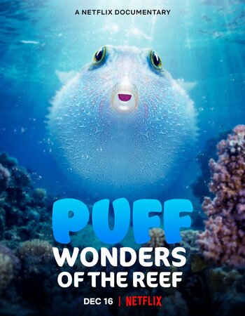 Puff: Wonders of the Reef (2021) Dual Audio Hindi 480p WEB-DL x264 200MB Full Movie Download