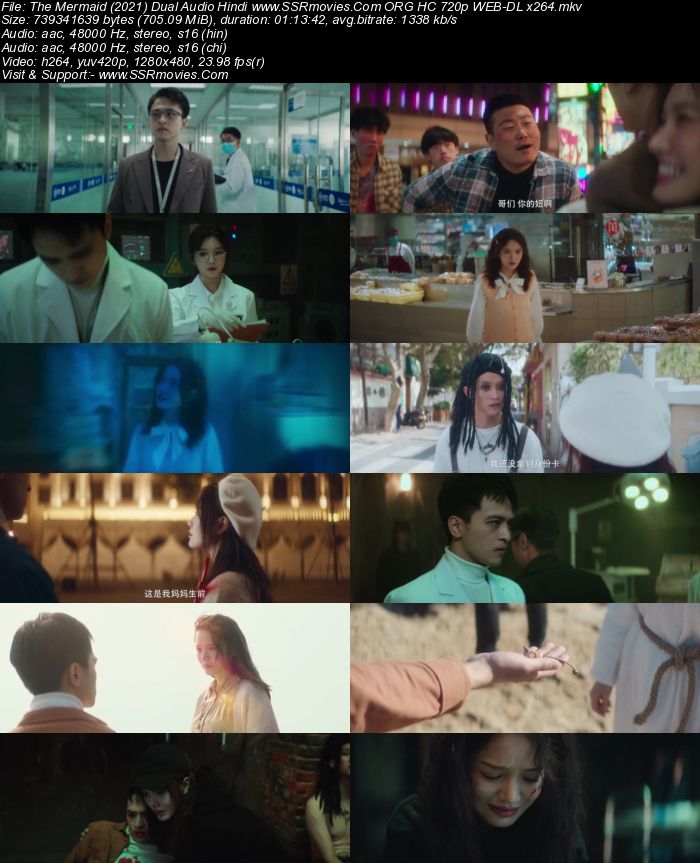 The Mermaid 2021 Dual Audio Hindi ORG 1080p 720p 480p HC WEB-DL x264 ESubs Full Movie Download