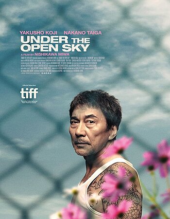 Under the Open Sky 2020 Dual Audio Hindi [UnOfficial] 720p 480p BluRay x264 ESubs Full Movie Download