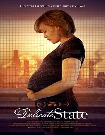 Delicate State 2021 English 720p WEB-DL 800MB Download